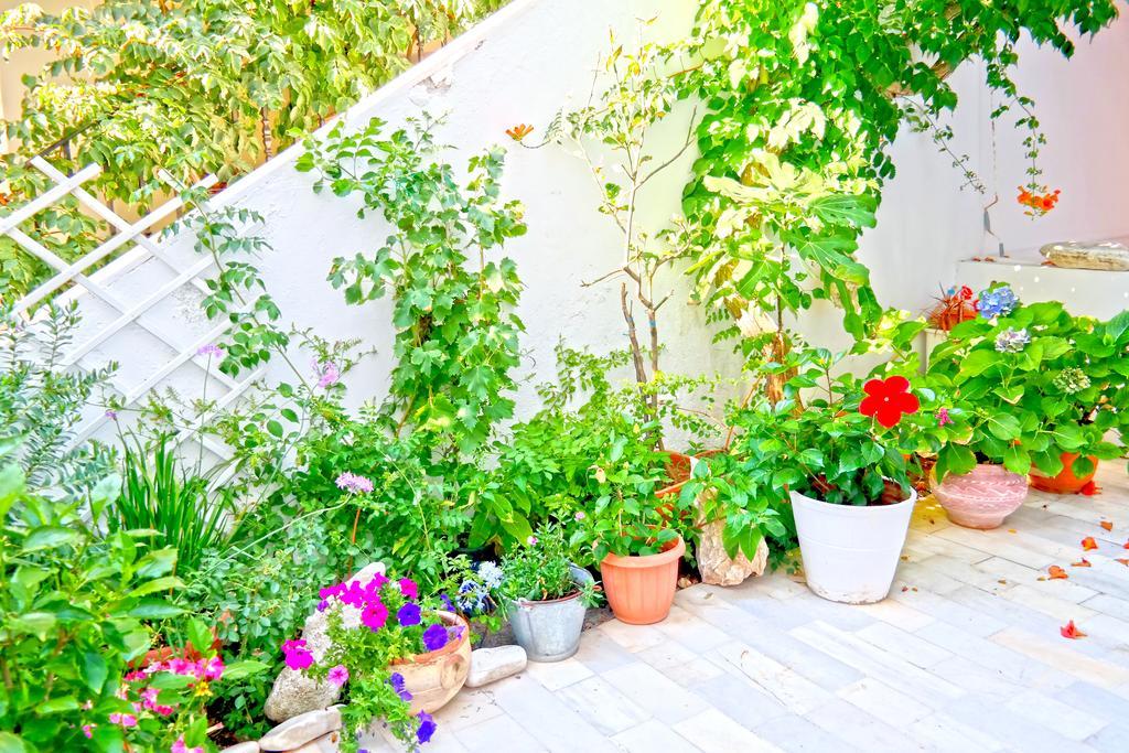 Sanoudos Otel Naxos City Dış mekan fotoğraf